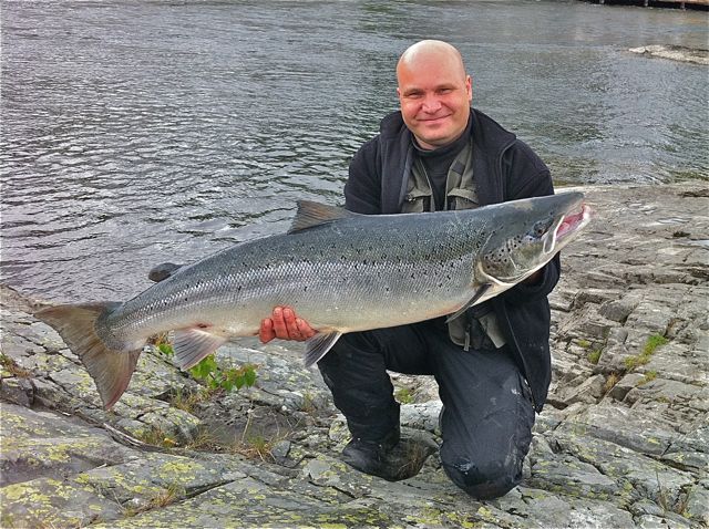 Lakse-premiere med kjempegode forhold og fine fangster